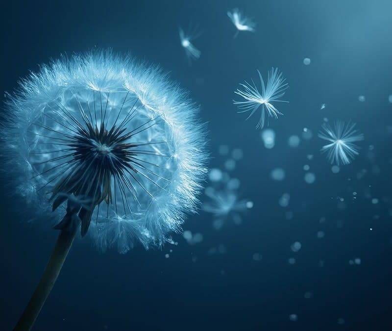 Dandelion Health Benefits