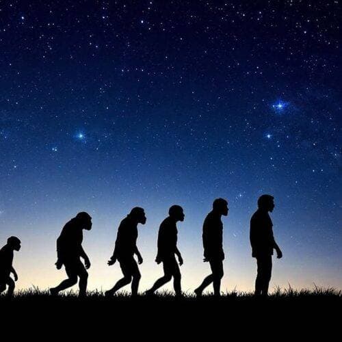 The Future of Human Evolution