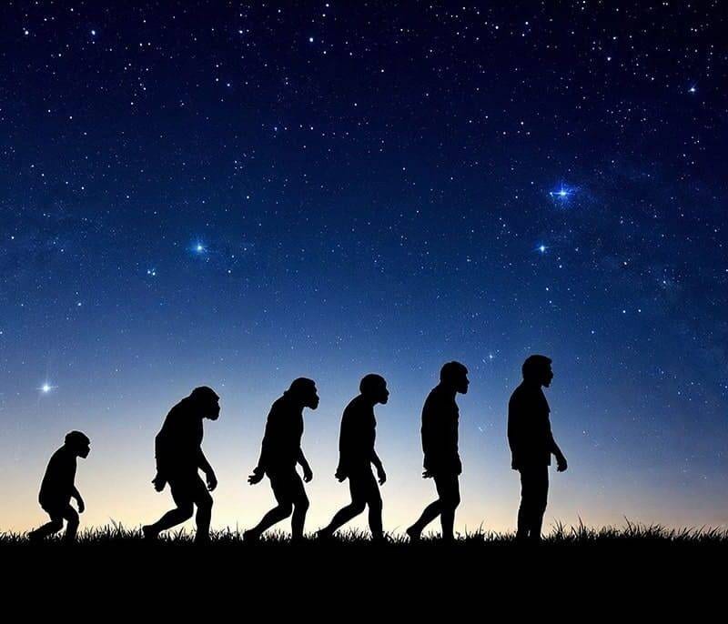 The Future of Human Evolution
