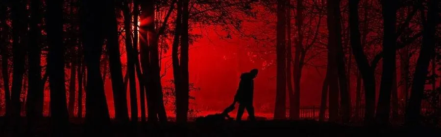 Canadian Justice System Reform