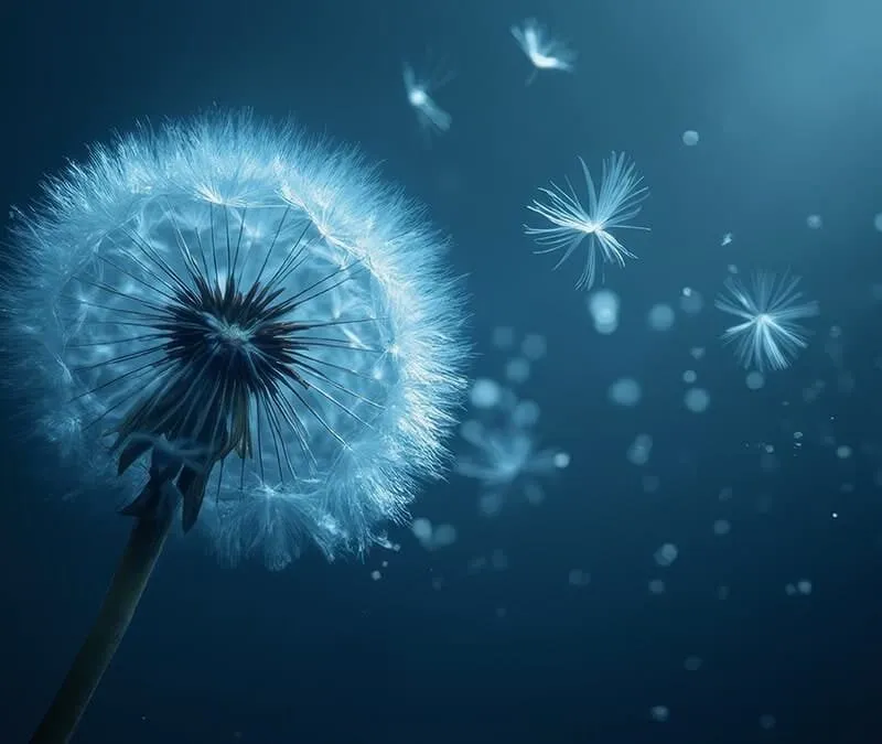 Dandelion Health Benefits