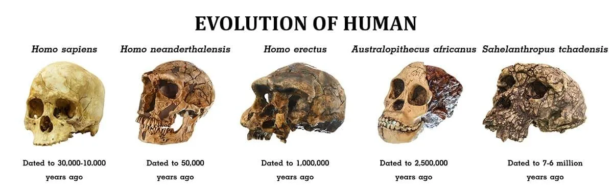 The Future of Human Evolution